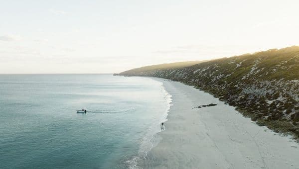 Your chance to win a luxury Southern Safari cruise with True North